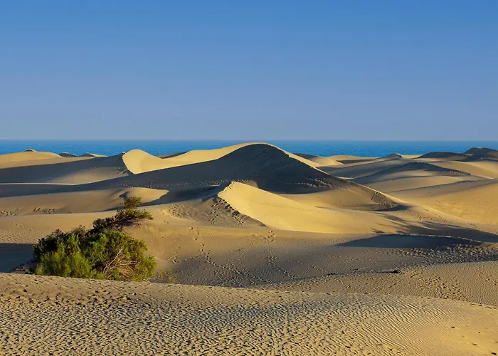 Industrial Teror 206 Playa del Ingles (Gran Canaria)