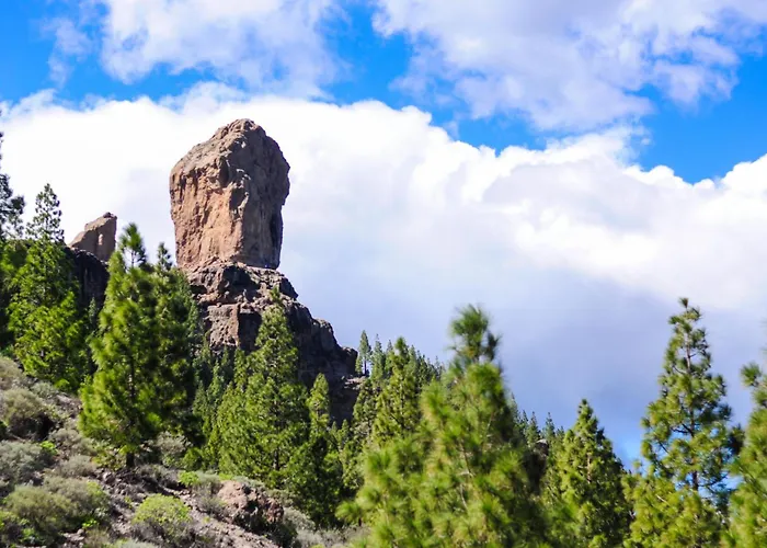 Industrial Teror 206 * 플라야 델 잉글스